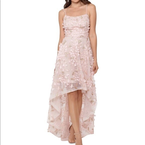 Xscape Dresses & Skirts - XSCAPE Embroidered Gown Formal Evening Dress Special Occasion Size 6 Blush Pink